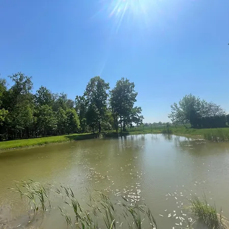 Viesu Nams Vijas Pensjonat *